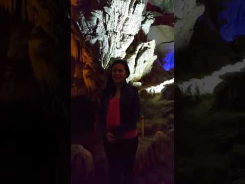 Slovakian guest introduction