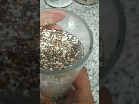 COMO PREPARAR CORRECTAMENTE LAS SEMILLAS DE LINAZA, CHIA Y AJONJOLI