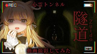 - 【 隧道 】心霊動画を撮影しに山奥のトンネルに訪れてみたんだが…【 #レグライブ/のりプロ所属 】