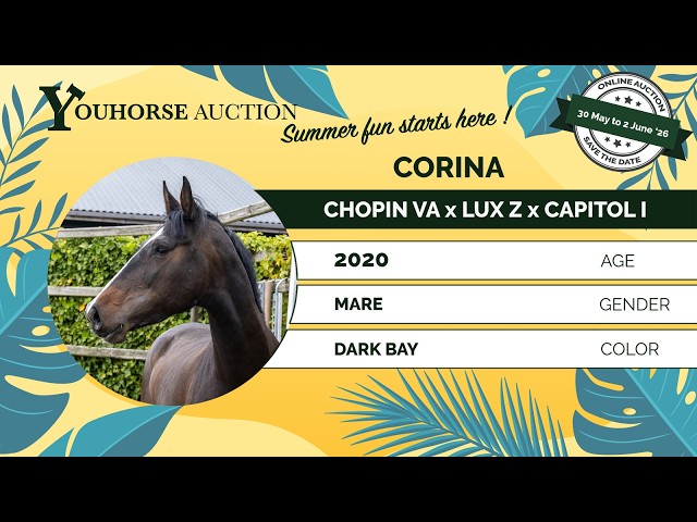 Corina
