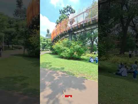 Tebet Eco Park | Wisata gratis Jakarta