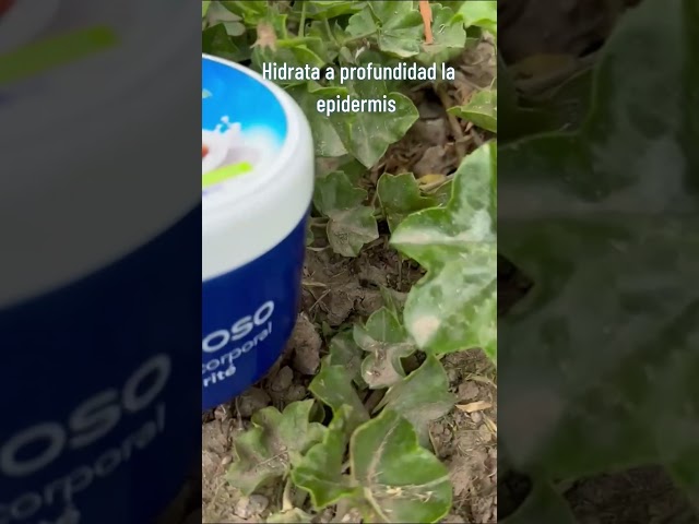 Vídeo relacionado con Instituto Español Tarro de Manteca de Karité Cremoso 500 g (Paquete de 2)