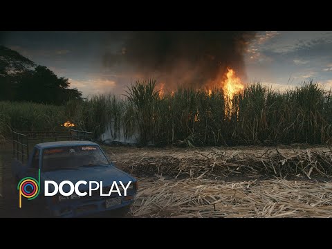 This Changes Everything | Official Trailer | DocPlay