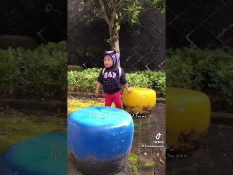 動物による騒音公害がある場合はどうすればよいですか? サービス