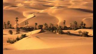 Desert Rose Music Video