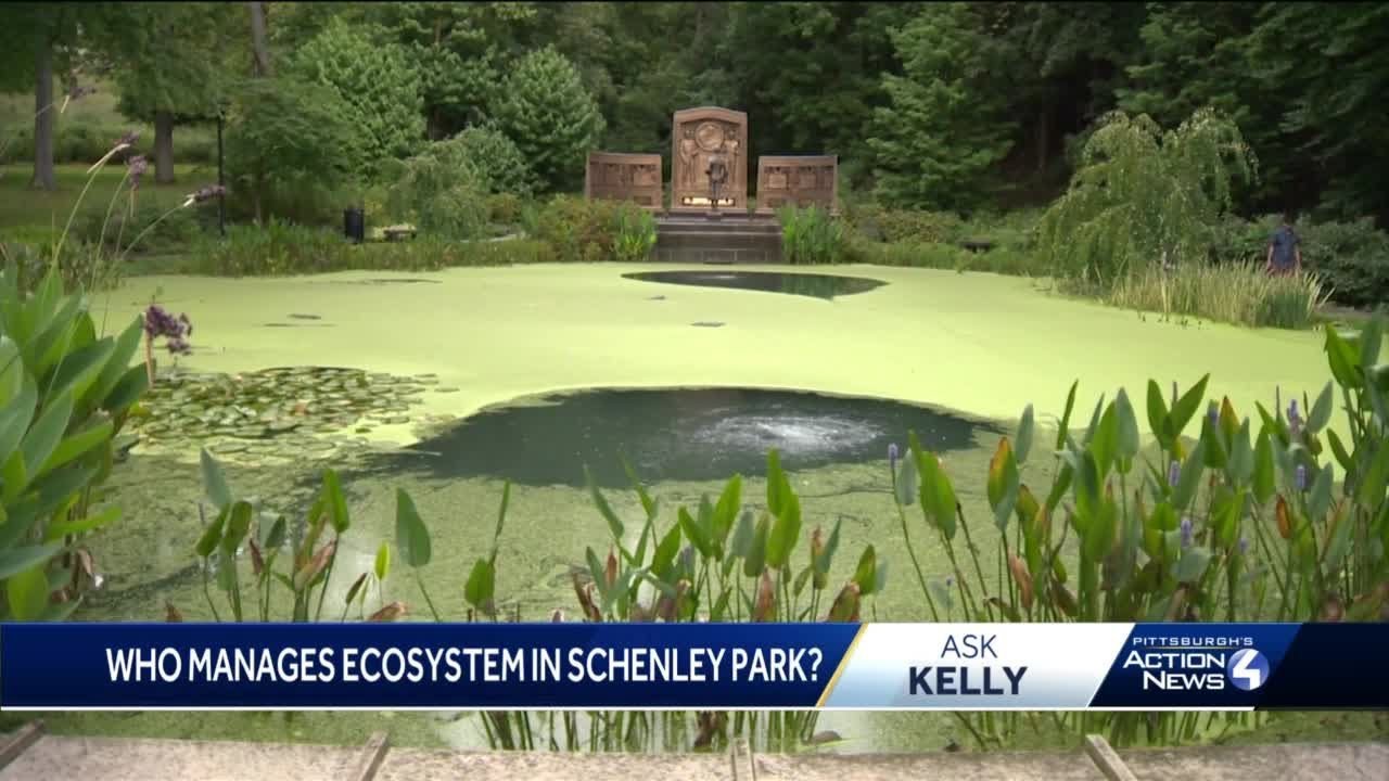 Ask Kelly: Pittsburgh's Schenley Park