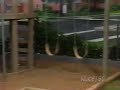 Going Places Short Credits PBS 1995