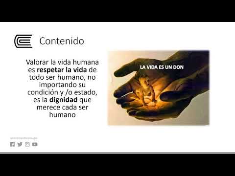 Valor de la vida humana