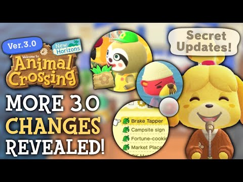 Even More 3.0 Changes JUST Revealed - Animal Crossing New Horizons