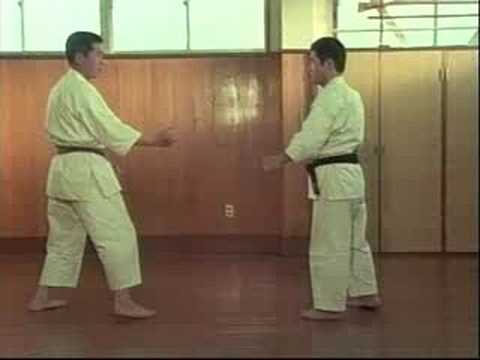 Sepai Bunkai