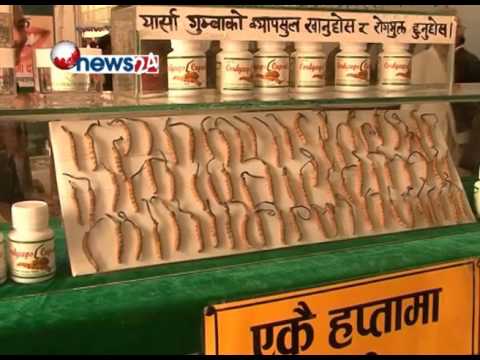 Business Today (2072-11-05)- NEWS24 TV