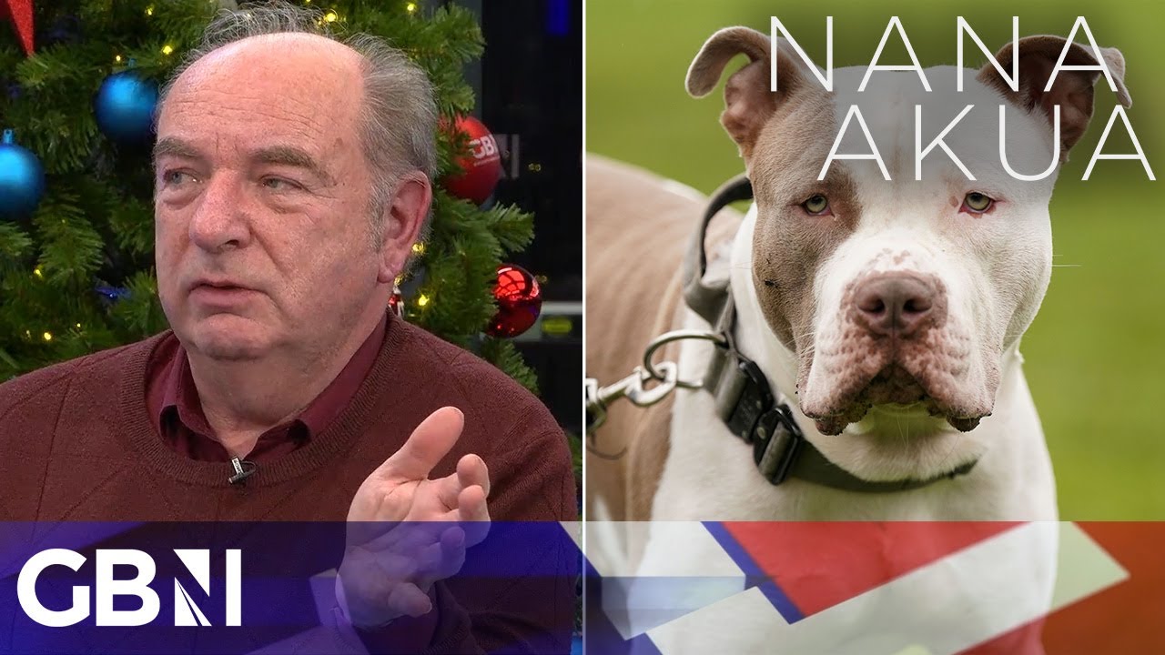 'We can't ban dogs which pose no threat whatsoever!' | XL Bully ban sparks fiery debate