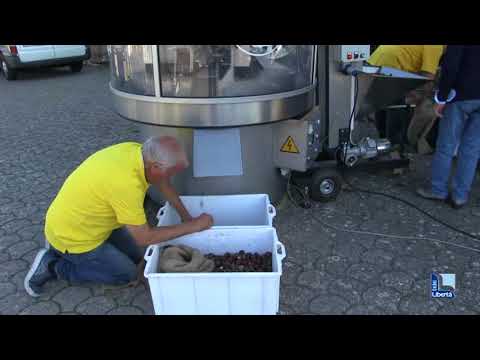 Castagnata a Vigolzone