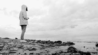 FJORDLAKE  Crystal Chips