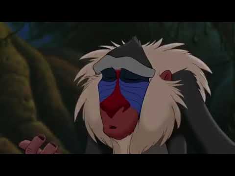 Fulirella Part 14 - Simba and Rafiki's Conversation
