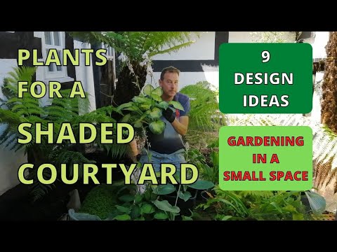 , title : 'How to make a SMALL SHADED GARDEN. With 9 innovative design ideas. Shade loving plant selection.'
