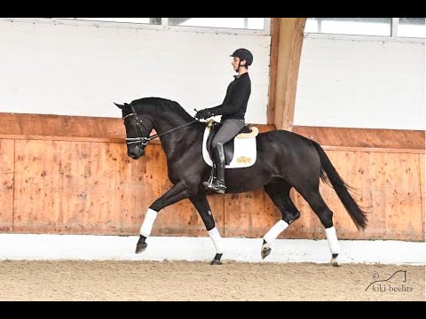 3-j. Wallach von Don Nobless x Hotline