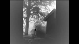 Forthcoming Fire - I Will Walk You Home