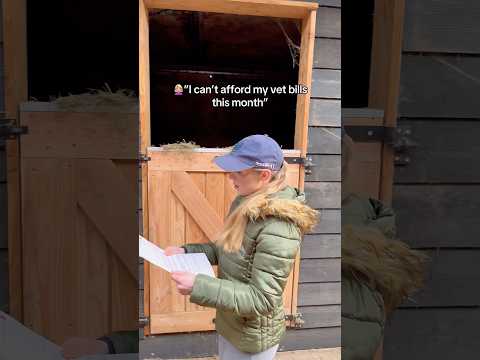 Please support our OnlyTails guys 🙏🏼 #equestrian #horse #funnyvideo #funnyanimal #funnyhorse