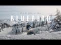 160 Km Backcountry Snowmobile Documentary In Newfoundland Canada BLUEBIRD Film