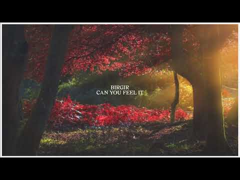 Birgir | Lyrics, Song Meanings & Music Videos