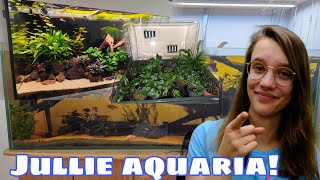 Aquarium van KIJKERS! Inrichting beoordelen & bodemrot herkennen //Nickey//