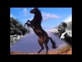 FREEDOM FOR THE STALLION - THREE DOG NIGHT