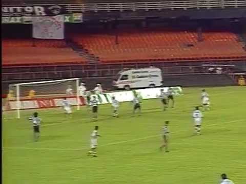 Botafogo 2 x 0 Fluminense - 1996
