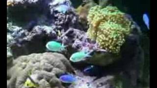 why don&#39;t you find out for yourself