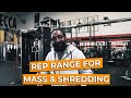 REP RANGE & MUSCLE MASS!