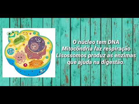 Paródia/Karaoke Célula Eucariótica e Organelas