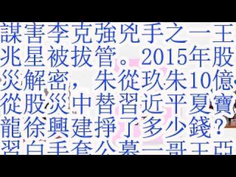 谋害李克强凶手之一王兆星被拔管。2015年股灾解密，朱从玖朱10亿从股灾中替习近平夏宝龙徐兴建挣了多少钱？习近平白手套，公募一哥王亚伟。