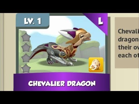 CHEVALIER DRAGON Breeding Attempts + Daily GRINDIN' - DML Live