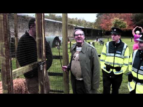 THE SAVAGE EYE - Quaar Farm (Uncut)