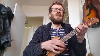 I Have Seen the Land Beyond - Beck (ukulele cover)