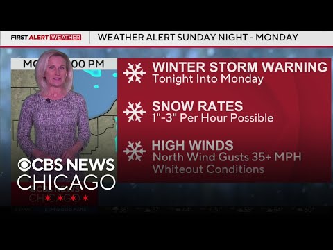 Winter Storm Warning begins Sunday night in Chicago, 2 to 3 inches of snow per hour possible