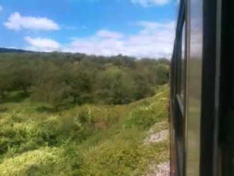 Intre Feliceni h. si Odorhei Sud hc. cu PM 14820/14844 Sibiu - Odorhei