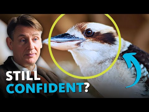 DEBUNKING All of the Best “Proof” of Evolution in 12 Minutes