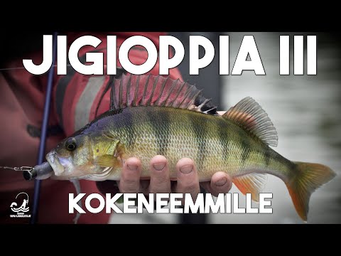Jigioppia III   Kokeneemmille