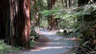 ELLA DEL ROSARIO SHAKE IT BABY