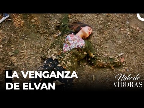 Sebnem Se Cayó Del Acantilado - Nido De Víboras Capitulo 33 (Dobladas en Español)