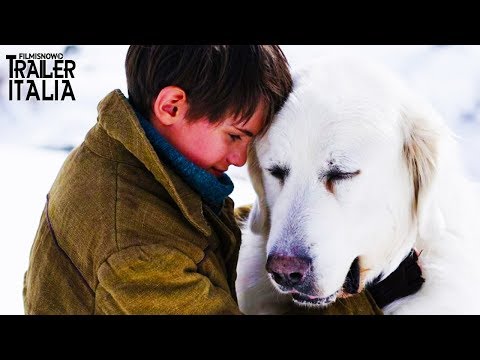 download lagu mp3 mp4 Belle E Sebastien 2 Streaming Film Senza Limiti, download lagu Belle E Sebastien 2 Streaming Film Senza Limiti gratis, unduh video klip Belle E Sebastien 2 Streaming Film Senza Limiti