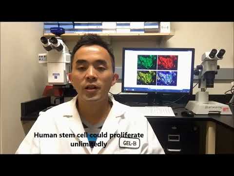 A Safe and cost-effective Stem Cell Approach for Treating Diabetes