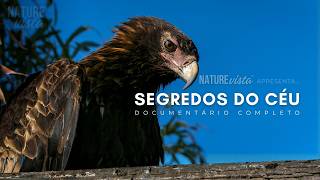 SEGREDOS DO CÉU | Pássaros Ao Redor do Mundo - Documentário Completo