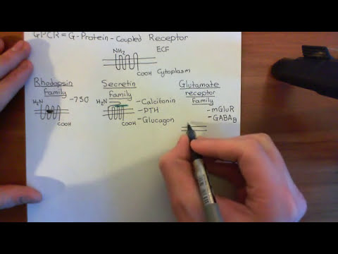 féreg kölyökkutya oxiurus