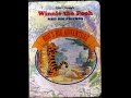 WINNIE THE POOH ROO S BIG ADVENTURE BOOK KIDS READING WITH ENGLISH SUBTITLES
