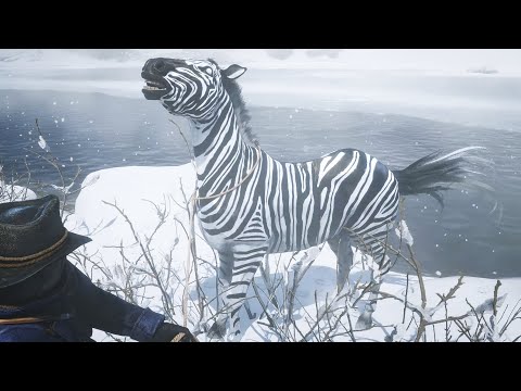 RDR 2 Arthur Morgan find rare expensive zebra horse