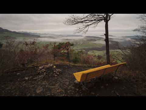 I Smoked Away My Brain (1 Hour)