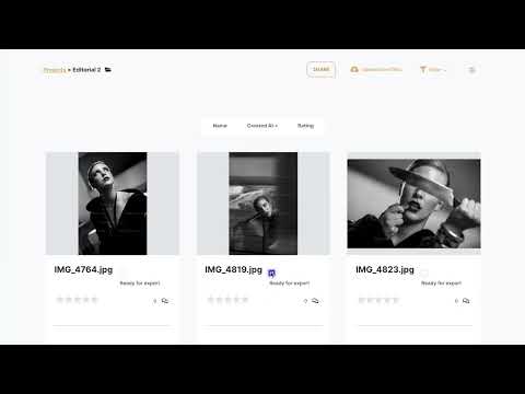 Voicechoice feature - Watermark protection