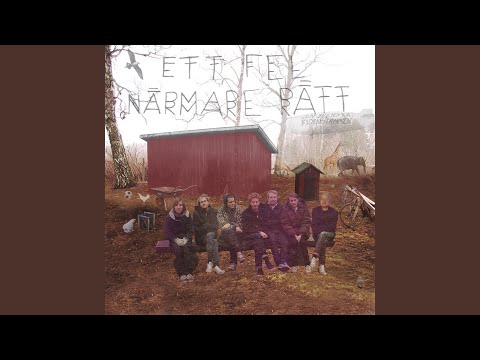 Mörkt Kallt Ljus - Den Svenska Bjornstammen